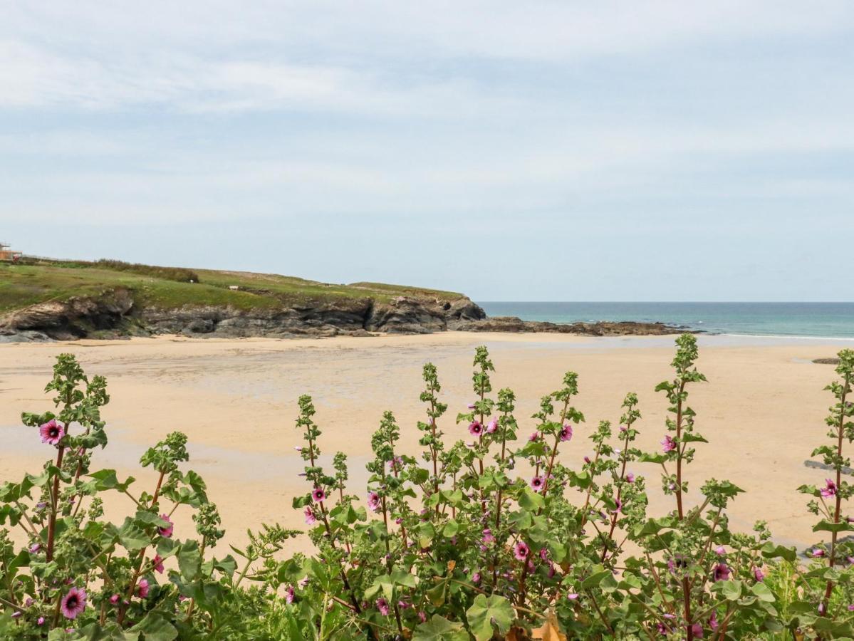 Constantine Bay Cottage Padstow Exteriér fotografie